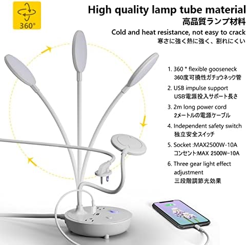LED Desk Lamp with 2 USB Charging Ports and 2 AC Power Outlets - Adjustable Gooseneck Desk Light with 3 Level Brightness, Eye-Caring Small Table Lamp for Home Office, College Dorm Room Essentials