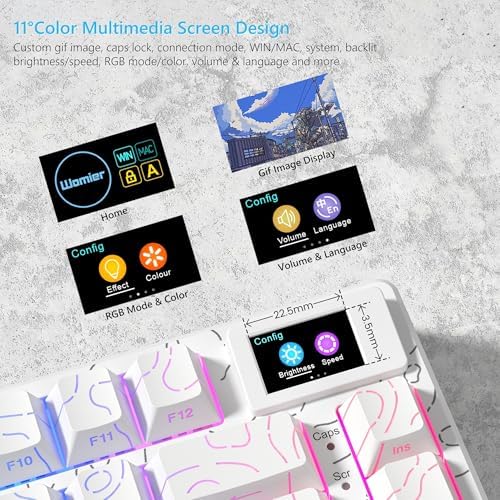 Womier SK80 75% Percent Keyboard Gaming with Color Multimedia Display
