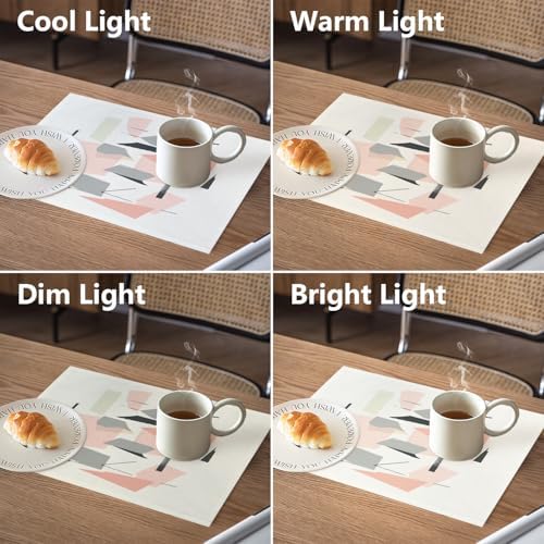 Minimalist Abstract Composition Linen Placemats, Geometric Forms Contemporary Art Table Mats for Table Washable Heat Insulation Thick Dining Mat, Indoor/Outdoor 12X18 in 4 Pcs