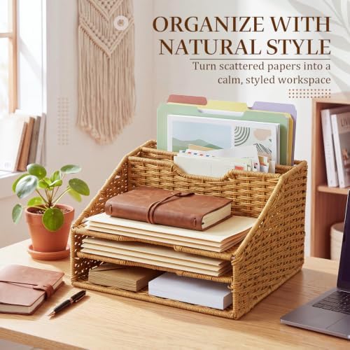 RattanView Desk File Organizer, Woven Mail Organizer Countertop, Plastic