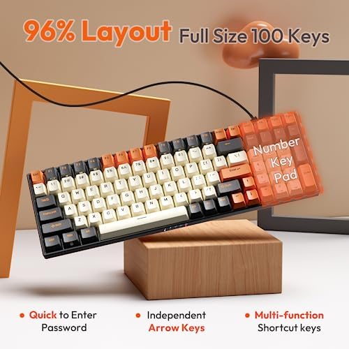 RK ROYAL KLUDGE RK100 Wireless Mechanical Keyboard RGB Backlit Bluetooth5.1/2.4G/Wired 96% Full Size 100-Key Hot Swappable Gaming Keyboard Red Switch Carbon
