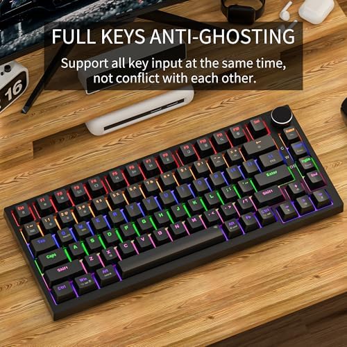 Newmen GM326 Mechanical Keyboard,75% Percent Gaming Keyboard,Wired Keyboard