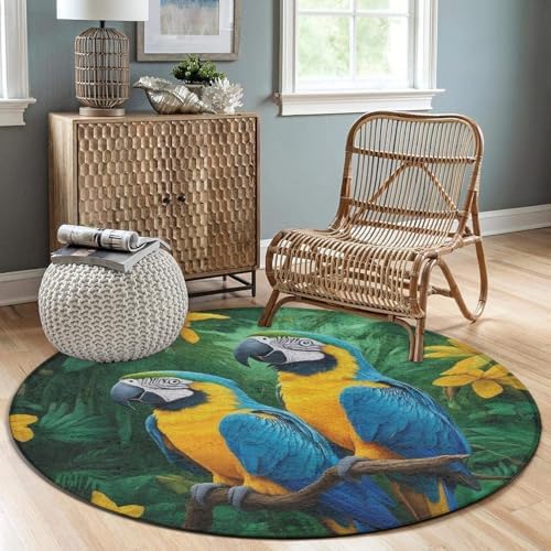 Machine Washable Modern Round Area Rug, Room Sofa Yoga Soft Round Carpet, Home Decor Non Slip Kitchen Office Circle Rug Parrots Art, 24inch