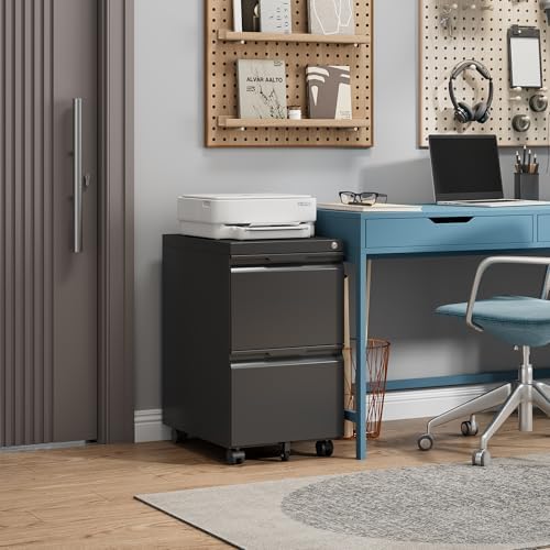 2 Drawer Mobile File Cabinet with Lock, Rolling File Cabinet with Wheels