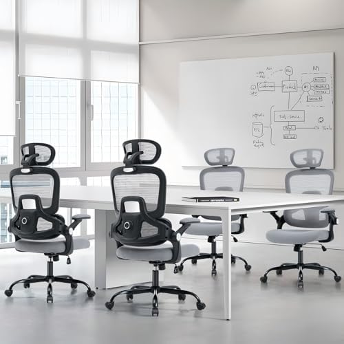 Office Chair with Adjustable Lumbar Support, Ergonomic Desk Chairs, Gray