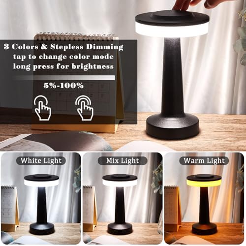 Riakrum 1 Pcs LED Cordless Table Lamp Bulk Rechargeable,Black