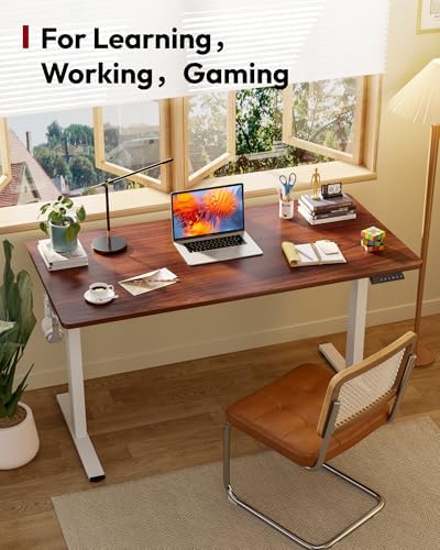 SANODESK One-Piece 1'' Thick Height Adjustable Standing Desk 60''x24''