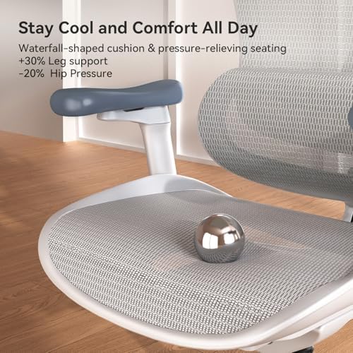 SIHOO Doro C300 Ergonomic Office Chair