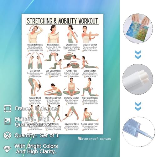 Stretching & Mobility Workout Poster, 16 Illustrated Full-Body Flexibility Training Chart with Hold Time Guides, Bodyweight Neck Hip Shoulder Stretch Reference for Post-Workout Recovery & Daily Mobility Improvement(24x36inchs，Unframed)