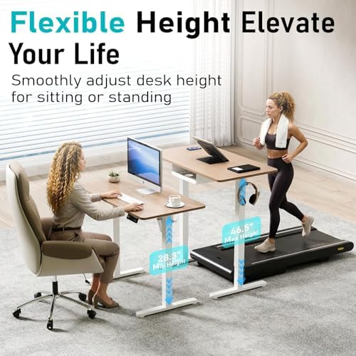 Electric Standing Desk, 40" x 24" Small Sit Stand Desk, Light Walnut