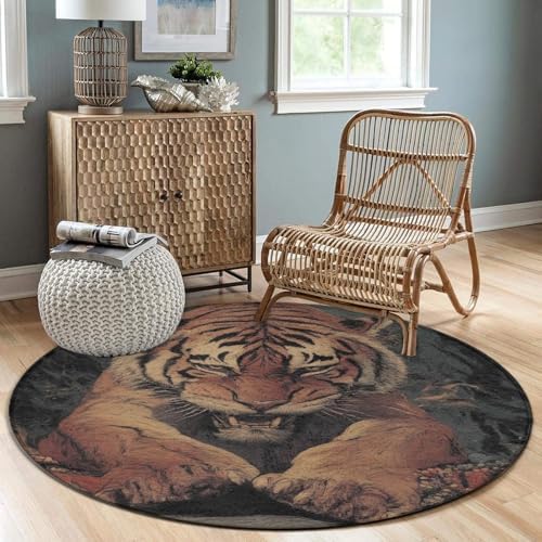 Machine Washable Modern Round Area Rug, Room Sofa Yoga Soft Round Carpet, Home Decor Non Slip Kitchen Office Circle Rug Animal King Cool Tiger Art, 24inch