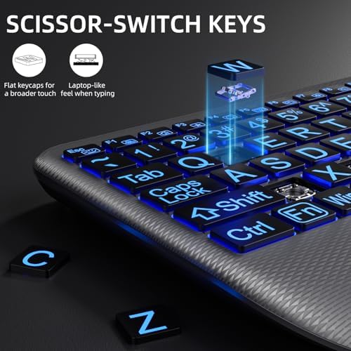 Hamile Large Print Wireless Backlit Keyboard for Windows, Gray