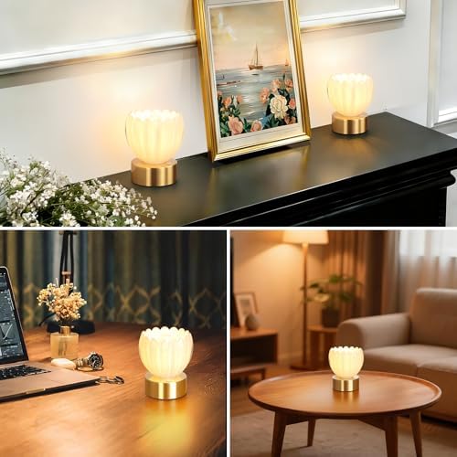 Shenmoyl Cordless Small Table Lamp with 5200mAh Battery & Touch Control, Battery Operated Tulip Table Lamp with 3 Colors, Rechargeable Mini Table Lamps for Bedsides, Bedroom, Nightstand (White)