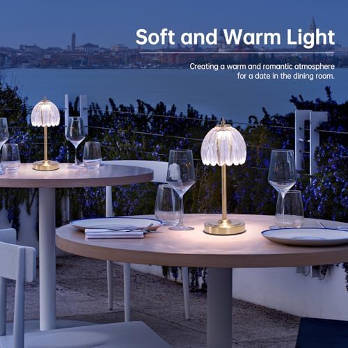 Shenmoyl Tulip Table Lamp with 5000mAh Battery & Touch Control, Cordless Table Lamp with 3 Colors, Dimmable Rechargeable Table Lamps for Bedroom, Nightstand, Living Room, Entryways (Transparent Tulip)