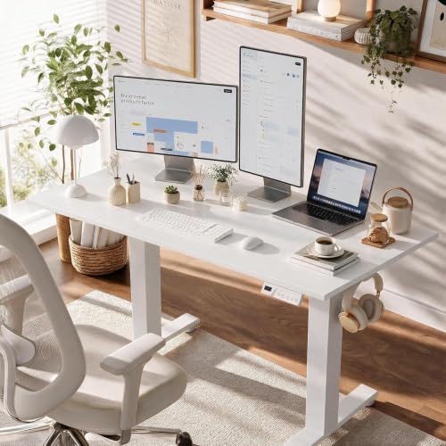 Claiks 48 x 24 Inch Electric Standing Desk White