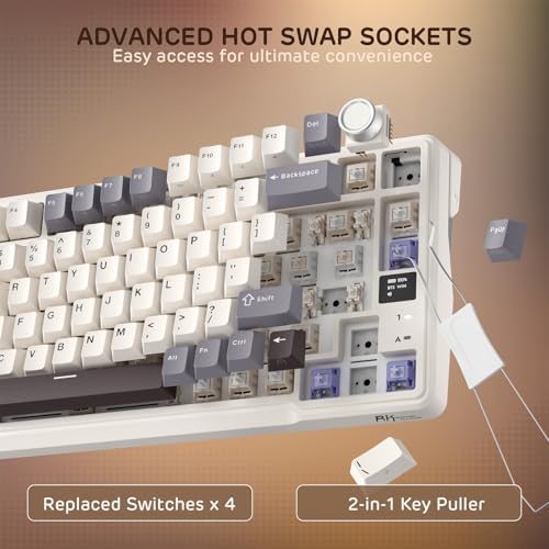 RK ROYAL KLUDGE L98 Wireless Mechanical Keyboard w/Southpaw Numpad