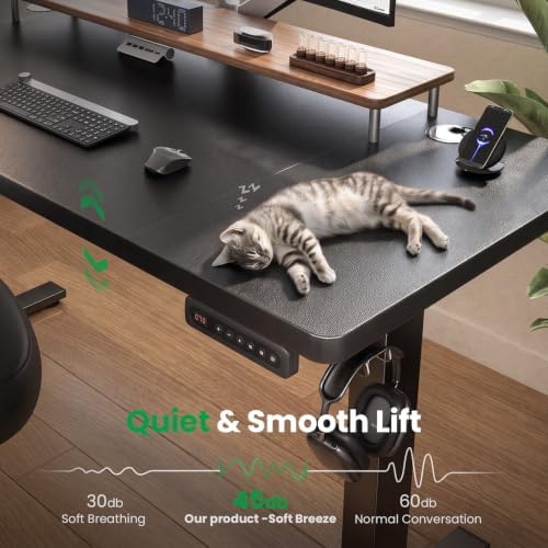 SIAGO 55 x 24 Inch Electric Standing Desk, 0.8 Inch Thick Tabletop