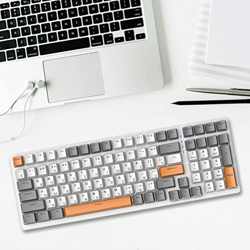 predolo Russian Mechanical Gaming Keyboard 100 Keys, Ergonomics,RGB, Backlit, USB Wired Plug and Play Durable Portable 98% Allocation for PC Laptop, Style E