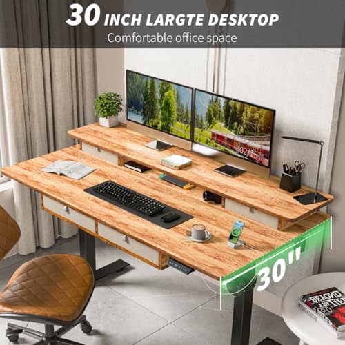 Kingant Electric Standing Desk with 4 Drawers, Height Adjustable 55"x 30"