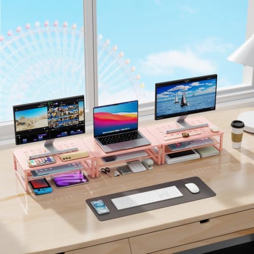 gianotter 2-Tier Metal Monitor Stand Riser