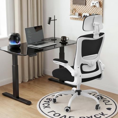 Ergonomic Office Chair for Long Hours, Adjustable Padded Lumbar Support for Lower Back Relief, 330 lb Capacity, Comfortable Computer Desk Chair for Home Office, Work & Study