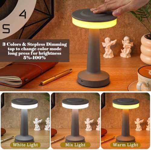 Riakrum 2 Pcs LED Cordless Table Lamp Bulk Rechargeable,Gray