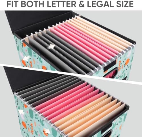BALEINE File Organizer Box with Lid, Collapsible Hanging File Storage Box