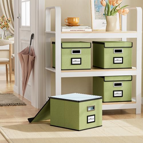 File Organizer Box with Lids, Collapsible File Folder Organizer