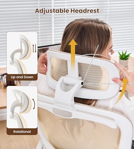Ergonomic Office Chair, Executive Chairs with Adjustable Lumbar Support