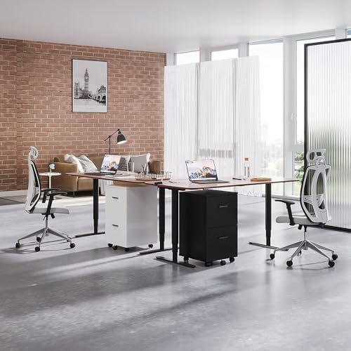 Panana 2 Drawer Mobile File Cabinet, Wood Rolling Filing Cabinet Printer Stand Under Desk Storage Organizer Fits Letter Size File Folders for Home Office (White)