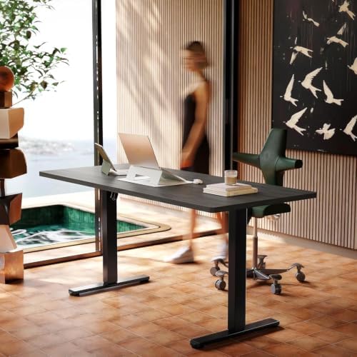 HUANUO 63x28 Inch Electric Standing Desk, Height Adjustable, Grey