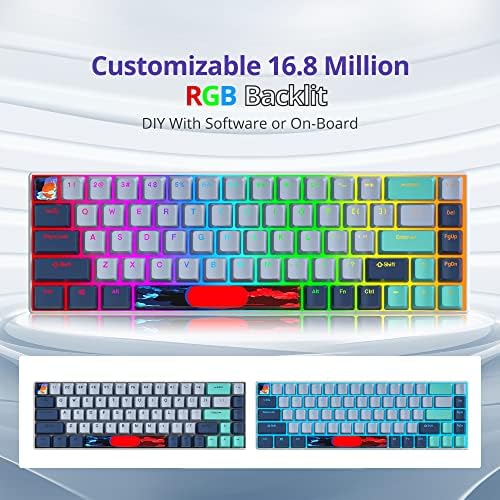 Owpkeenthy 65 Percent Mechanical Gaming Keyboard Hammerhead Shark with Red Switch Ultra Compact RGB Wired 60% Gaming Keyboard N-Key Rollover for PC Gamer Box PS