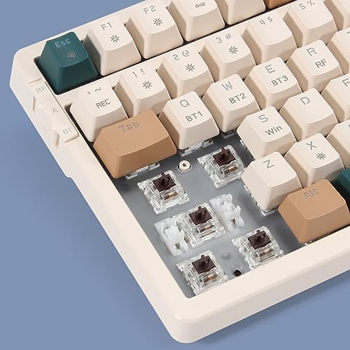 Merdia Wireless Mechanical Keyboard, Triple Mode 2.4G/USB-C/BT Gaming Keyboards 100 Keys RGB Backlit, Brown Switch Rechargeable | Brown Combo