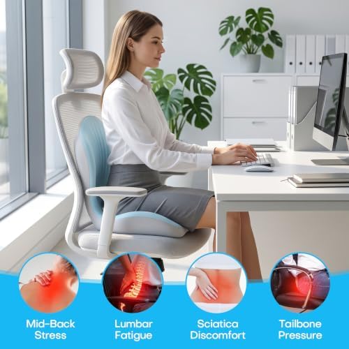 Ergonomic Seat Cushion for Office Chairs Lumbar Support Pillow, Blue