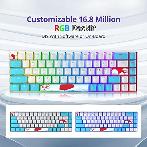 Owpkeenthy Portable 60% Mechanical Gaming Keyboard, Ultra Compact RGB Wired 65 Percent Mini Office Keyboard Backlit with Red Switch for PC/PS5/XBOX(Blue/ 68 Red Switch)