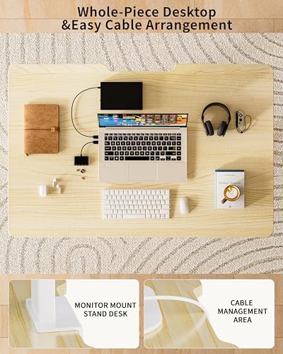 BIZUM 39.4" Small Electric Standing Desk Height Adjustable, Whole Piece Stand Up Computer Desk Work Study Writing Gaming Desks for Home Office Oak