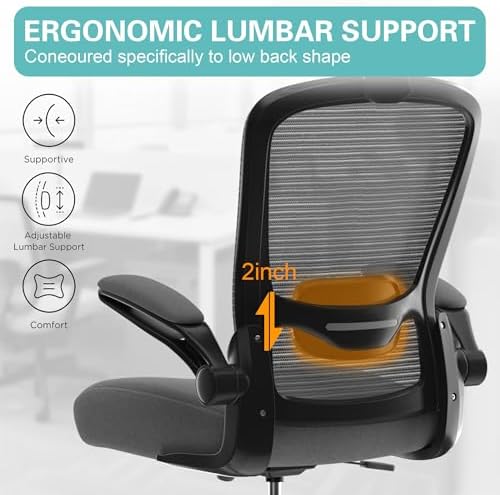 Mimoglad Office Chair, High Back Ergonomic Desk Chair with Adjustable Lumbar Support and Headrest, with flip-up Armrests for Guitar Playing, 5 Years Warranty (Modern, Dim Gray(Black Frame))