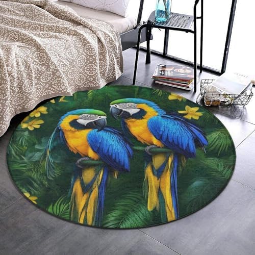 Large Round Area Rug Home Decor Modern Bathroom Rug Kitchen Office Circle Rug for Living Room Sofa Circle Cute Mat Parrots Art, 60inch