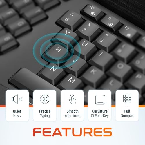 Delton Wireless Ergonomic Keyboard, 2.4G USB Dongle Full-Size Keyboard