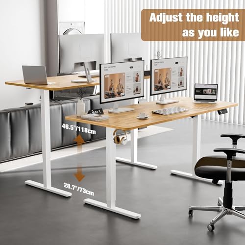 63"x28" Standing Desk, Height Adjustable Sit-Stand for Home Office