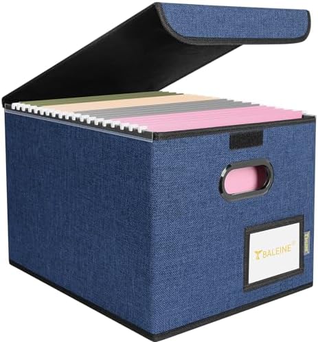 BALEINE File Organizer Box with Lid, Collapsible Hanging File Storage Box