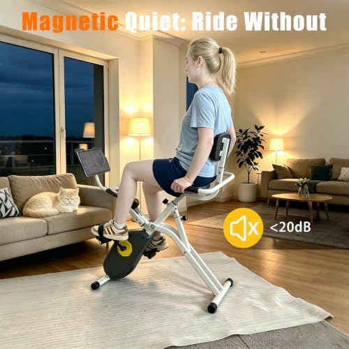 Foldable Magnetic Recumbent Stationary Exercise Bike