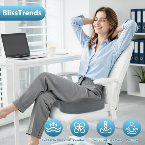 BlissTrends Extra Thick Seat Cushion for Office Chair & Car Seat, LightGrey