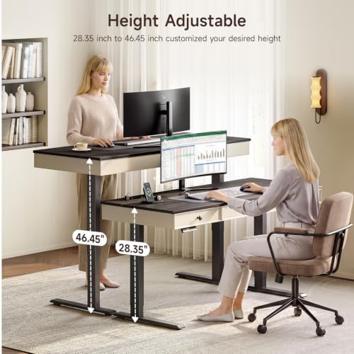 ONBRILL 55" Electric Standing Desk with 3 Drawers, Home Office Desk, Black