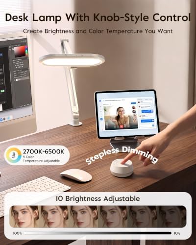 LitONES LED Desk Lamp with Clamp and Stepless Remote, Dual-Sided Soft Light