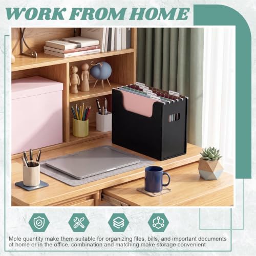 Qeeenar 2 Pcs Hanging File Box with 10 Pcs Morandi Hanging File Folders