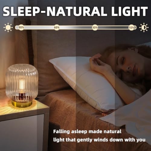 MJ PREMIER Rechargeable Table Lamp,Cordless Lamp with Memory Function,Clear