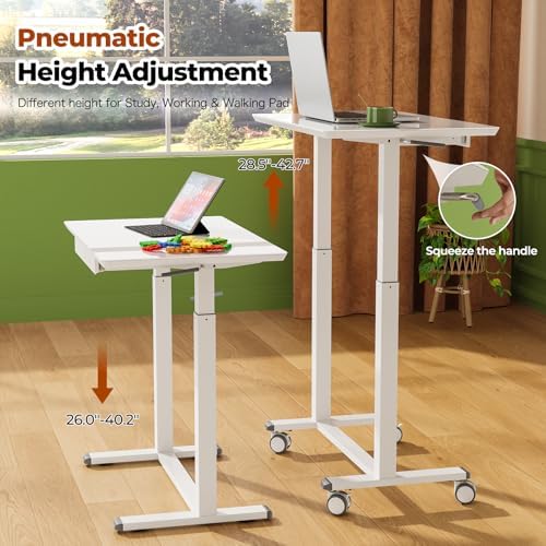 Gibbon Mounts 32inch Glass Standing Desk, Small Rolling Table with Drawer