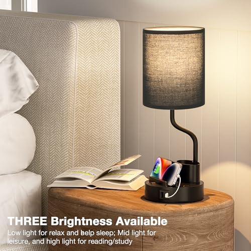 Fenmzee Bedside Lamps for Bedroom Set of 2 - Table Desk Lamp for Nightstand