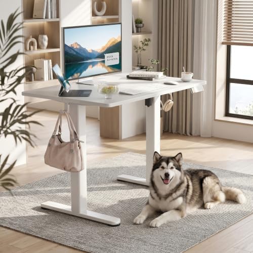 Claiks Electric Standing Desk 40x24 Inch Adjustable Desk, White